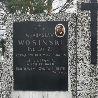 Grób Władysława Wosińskiego